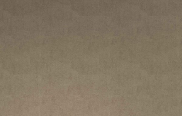 VELOURS TAUPE   